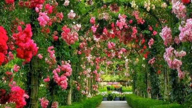 Ворота в однополярный мир. Практика.