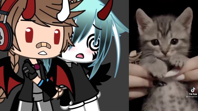 в видео друг 🙂 милота одним словом 😁 смотреть онлайн