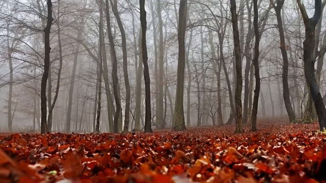 Не роняйте себя…
