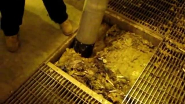 Wssc Bowie Station Clean-up.mp4 смотреть онлайн