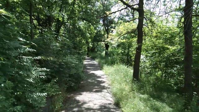 Просто красивая природа в Пятигорске, теренкур у Машука смотреть онлайн