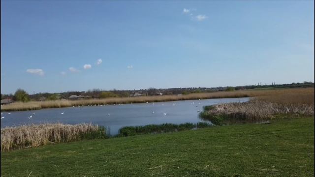 Podul de fier peste Reut. Moldova, Floreşti. 02.05.2022. смотреть онлайн