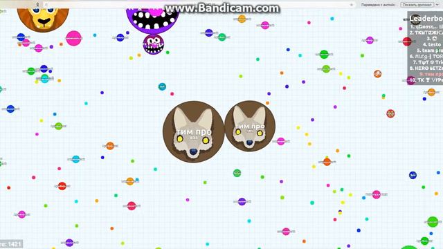 около 1 000 000 000 ботов