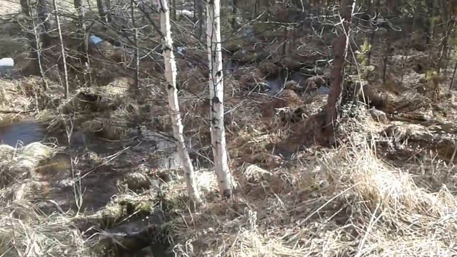 Карантин.самоизоляция.новоуральск смотреть онлайн