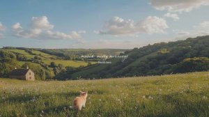 a playlist for living in a little cottage together with your cat