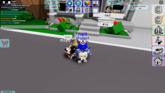 Roblox (Brook Haven) смотреть онлайн