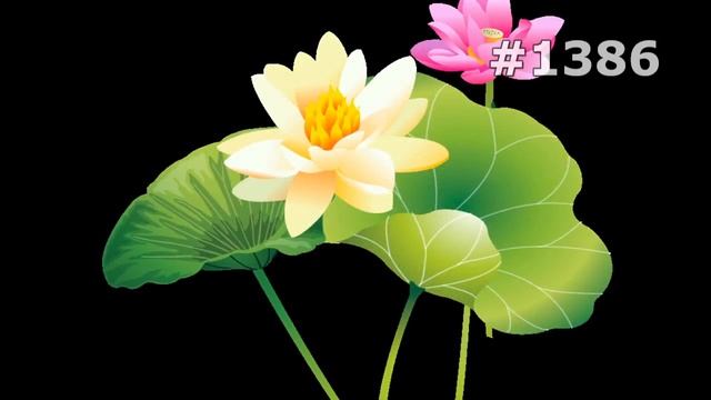 #1386. Лилии - самые яркие цветы смотреть онлайн