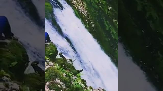 Грузия Самегрело