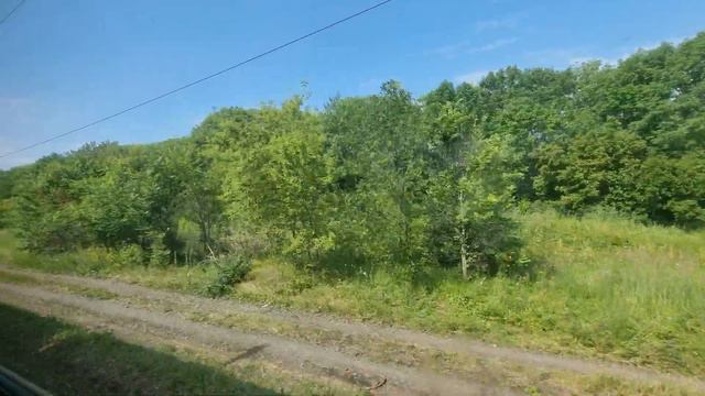 Ртищевское направление. Участок от ст. Ардым - пл. Аленевка. Поездка на электропоезде ЭР9Т-738. смотреть онлайн