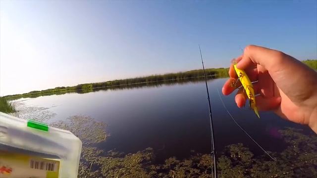 Хорошие КОРОБКИ для Приманок, блёсны Mepps и Плетёнка SUNLINE - обзор/распаковка [Sibiryak007]