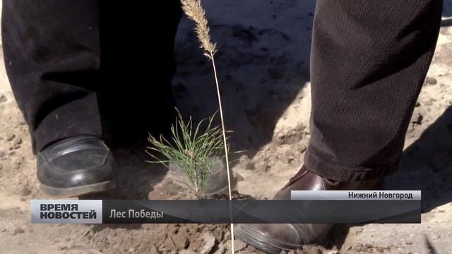 Лес Победы высадили в Сормовском районе смотреть онлайн