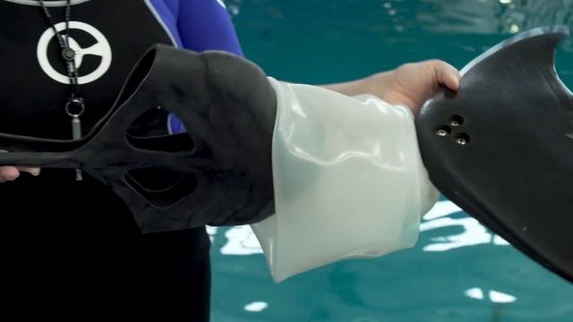 Winter's New Tail - Winter the Dolphin: Saving Winter - Episode 8 смотреть онлайн