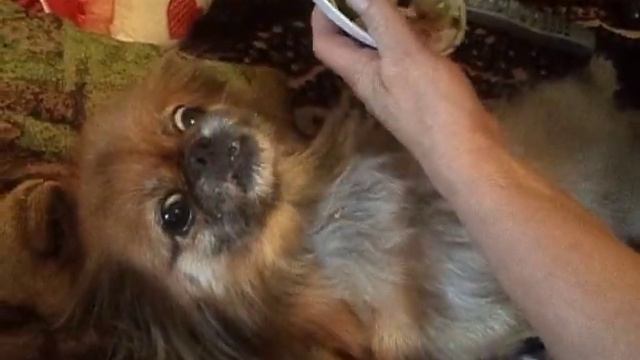 Кукла кушает ))))))) смотреть онлайн