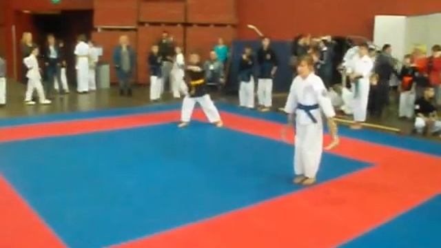 Кобудо. Ката с оружием (кама). смотреть онлайн