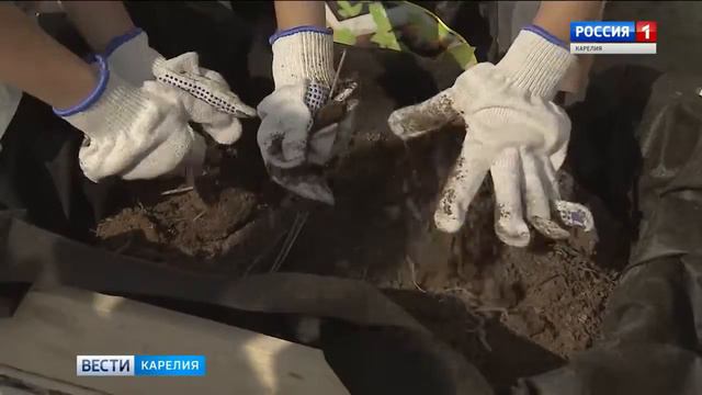 ГТРК Карелия. Семьям в районах республики помогли собрать детей в школу смотреть онлайн