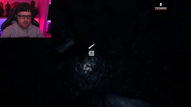 Timmy's dads are back! | Sons of the Forest смотреть онлайн