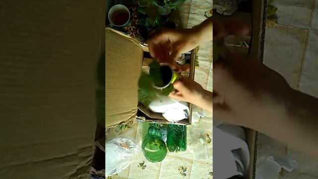 Посылка комнатных цветов Арсеньев-Партизанск смотреть онлайн