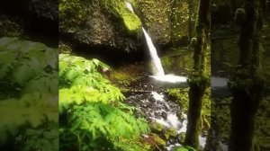 Что говорить в ночь предопределения