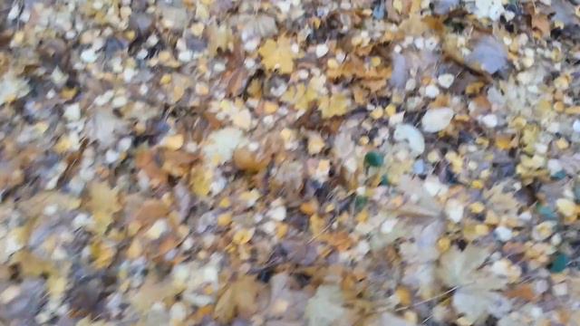 🍂🍁🍂 Осеннее настроение (авторская песня Атамана Вагари) 🍂🍁🍂 смотреть онлайн