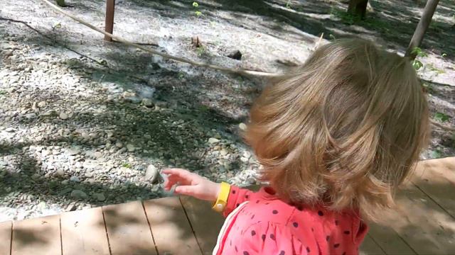 Посещение Дино-парка, Ульяновск смотреть онлайн