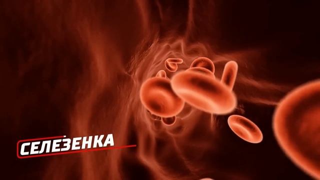 Охотники Обнаружили в Лесу Девочку, Которая 10 Лет Назад Выпала из Самолета смотреть онлайн