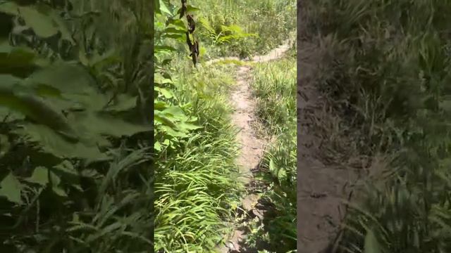 Заповедник «Долина Ключводы» под Краковом🇵🇱😍🚗#summer #2022 #familytime #poland #nature смотреть онлайн