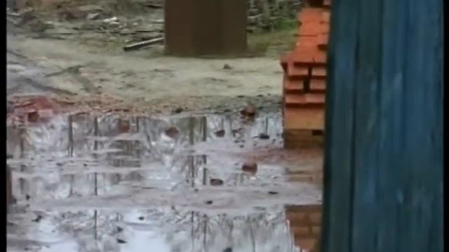 Богослужение в храме Рождества Иоанна Предтечи смотреть онлайн