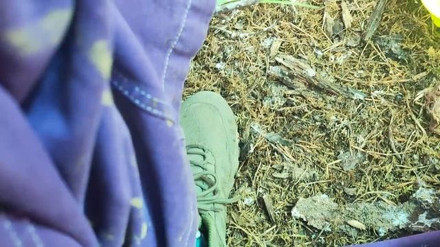 Десять минут почесушек Маруси смотреть онлайн