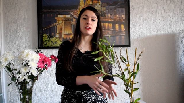 Dendrobium Stardust Firebird orchidea bemutató | Alap tudnivalók, igények, gondozás és teleltetés смотреть онлайн