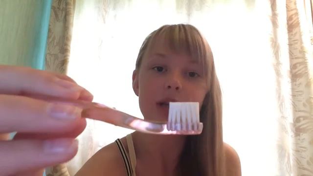 Уход за йорком #1 смотреть онлайн