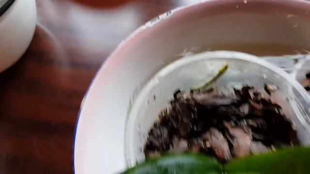 Орхидеи смотреть онлайн