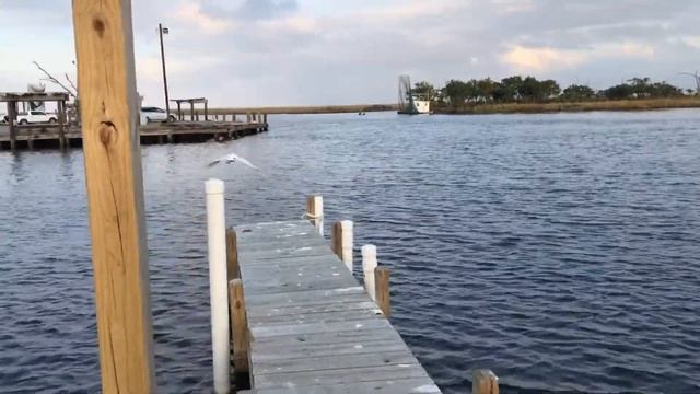 Back at PAC KAYAK | #LIVELIVENOW TV | EP 46 смотреть онлайн