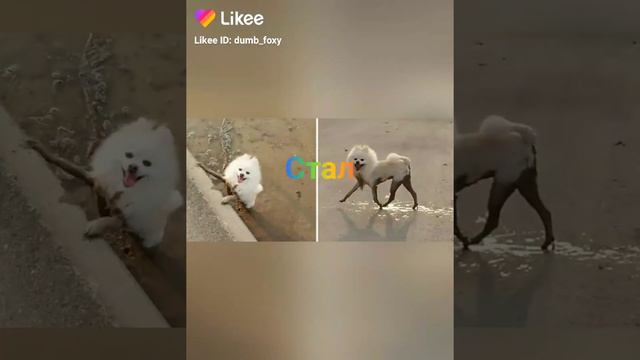 кому не страшно посмотрите в 3:00 часа ночи видео из лайк не моё смотреть онлайн