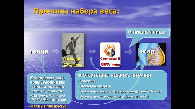 Основы рационального питания смотреть онлайн