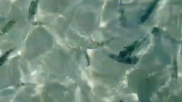 Sunrise in Koh Samet | National Park - Ao Prao Beach смотреть онлайн