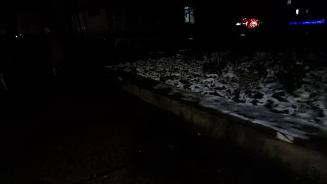 Обычные будни, Вечер без света, Отремонтировала ноутбук, Жук живёт как король) смотреть онлайн