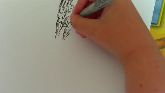 Drawing Animals With Pencil - Dusan Krtolica 9 years - crtanje zivotinja смотреть онлайн