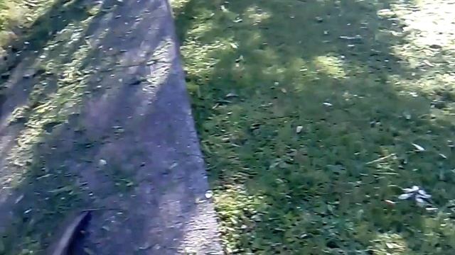 Lawn guy talks more about his chops with the Honda 35cc weedeater. смотреть онлайн
