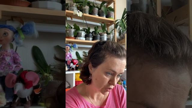 Можно ли выращивать орхидеи без использования специальных препаратов для цветов? смотреть онлайн