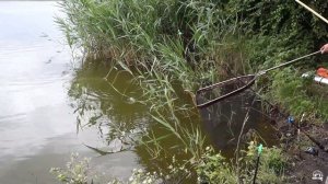 РЫБАЛКА КИРПИЛИ ТИМАШЕВСК