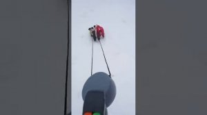 Рулетка - поводок для двух собак .