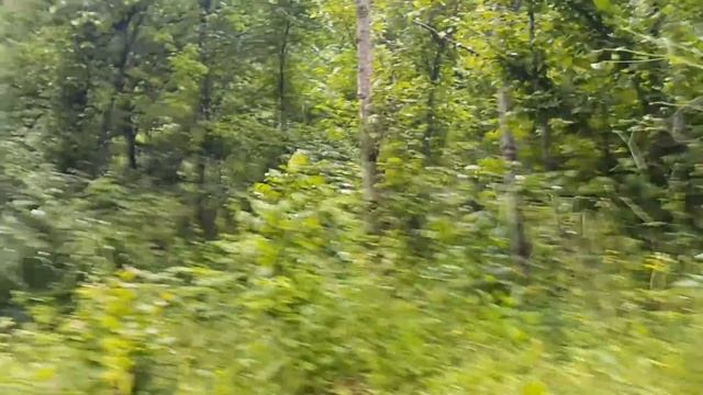 В КБР ищем нетронутые места обитания форели.. смотреть онлайн