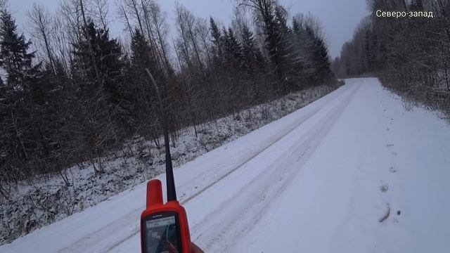 ОХОТА НА ЗАЙЦА ПО ПЕРВОМУ СНЕГУ 2023-2024. смотреть онлайн