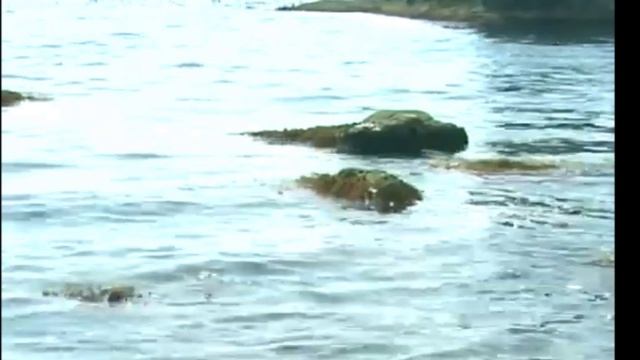 Релакс под саксофон Красивая расслабляющая музыка Саксофон для фона смотреть онлайн