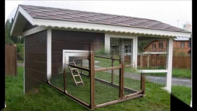 Сказочный курятник на даче смотреть онлайн