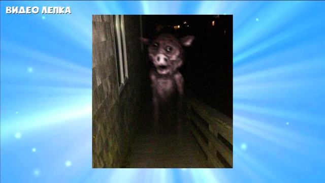 Все Творения Тревора Хендерсона 1 - Видео Лепка смотреть онлайн