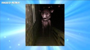 Все Творения Тревора Хендерсона 1 - Видео Лепка