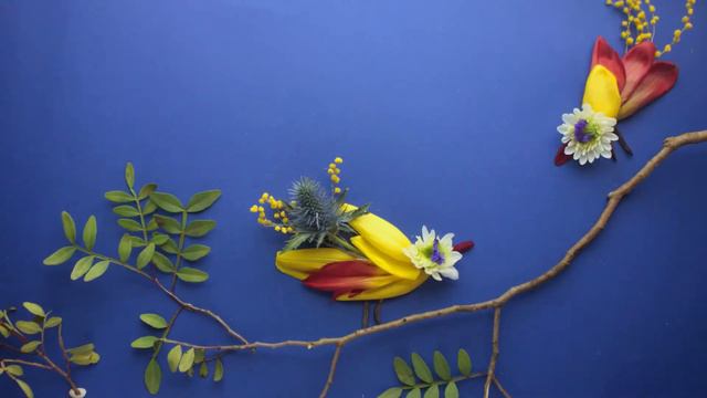 Тюльпуля смотреть онлайн