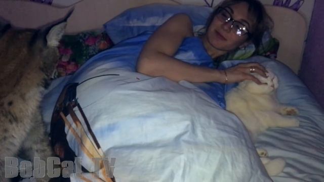 ПОДЪЕМ С КОТОМ И РЫСЬЮ смотреть онлайн