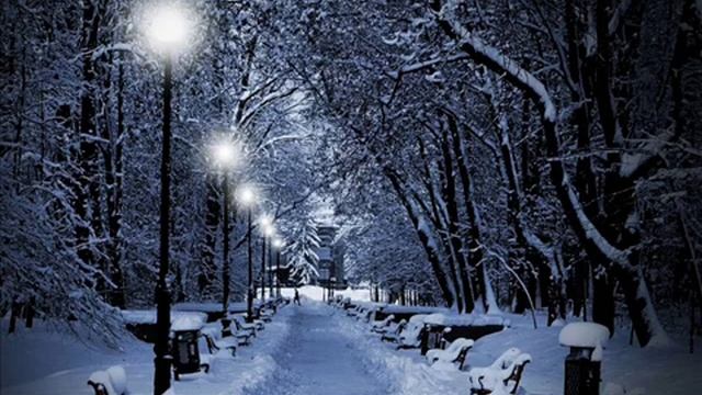 Какая грусть, конец аллеи, Фет А. смотреть онлайн